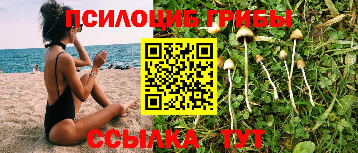 ГАШИШ  Брянск  Наркошоп  ГАШ  МЕТ  Экстази  Меф МЯУ МЯУ  Мефедрон   Вход с VPN 