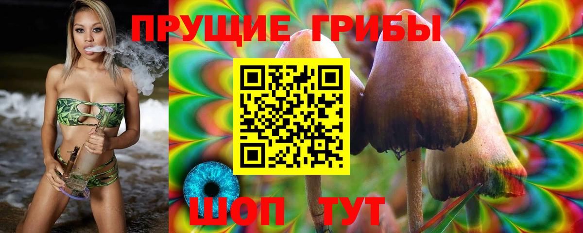 Псилоцибиновые грибы Psilocybe  Псилоцибиновые грибы MAGIC MUSHROOMS  Вход с VPN  Брянск 